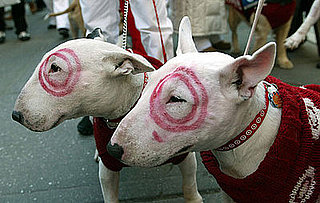 Guess What Breed?