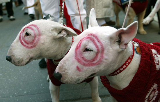 Guess What Breed? Guess What Breed?