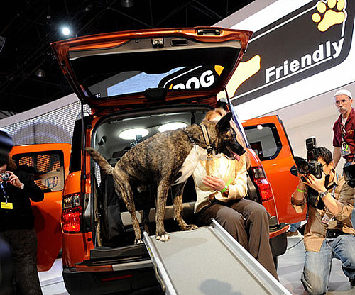 Honda Element Goes to the Dogs!