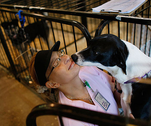 7 Wildly Easy Ways to Give Back!