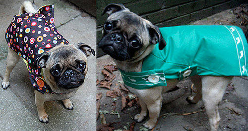 Broken Umbrellas Equal Stylish Raincoats