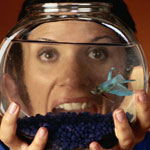 What Do You Know About Bettas?