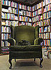 Do You Know Your Literary Cats?