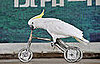 Birds (Not) Behaving Badly