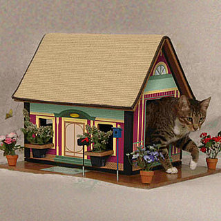 Kitty's Purrfect Playhouse: Spoiled Sweet or Spoiled Rotten?