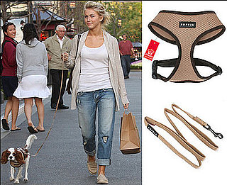 Found! Julianne Hough's Harness Set