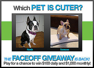 The Faceoff Giveaway Is Back — Pick Cuter Pets For a Chance to Win $100 Daily and $1000 Monthly!