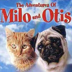 My 10 Fave Flicks... Starring Animals! 