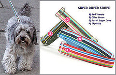 Found! Follow Thurman Murman's Super Stripe Lead Found! Follow Thurman Murman's Super Stripe Lead
