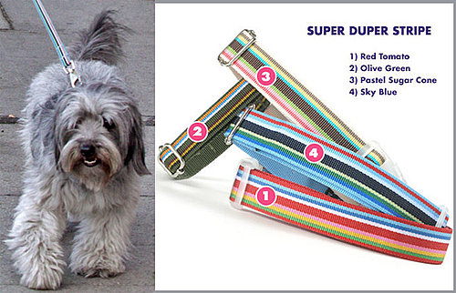 Found! Follow Thurman Murman's Super Stripe Lead
