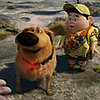 Breaking News: Dug From Up, the Palm Dog Winner at Cannes!