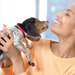Relax Already: Play With a Pet