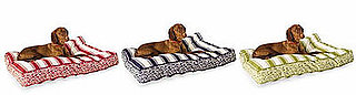 Your Grass and Dog Deserve a Lawn Lounger