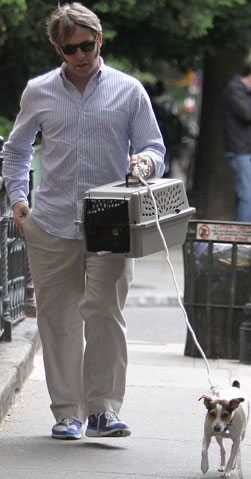 Get Pet Moving Tips Inspired by Matthew Broderick