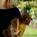 Do You Know the Kinkajou's Favorite Snack?