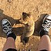 9. Stepped On
