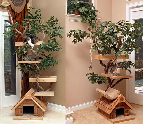 Cat Tree Houses: Spoiled Sweet or Spoiled Rotten?