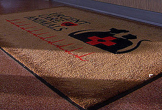 Do You Know Where the Closest 24-Hour Vet Clinic Is?