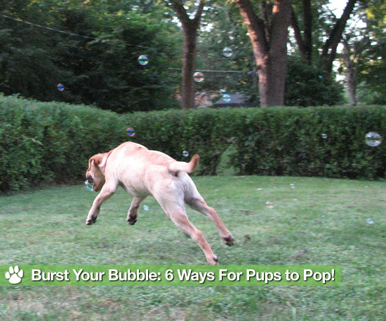 Bubble Blowers For All Play Styles and Spaces Bubble Blowers For All Play Styles and Spaces