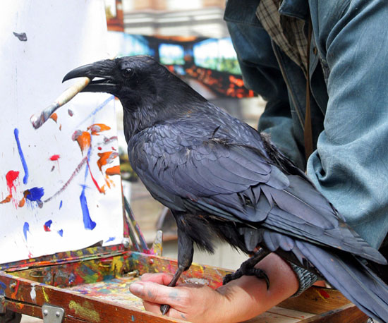 As the Crow Paints