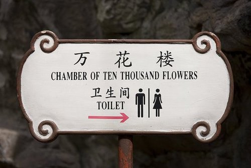 Briefing Book! Shanghai Upgrading Toilets For World Expo
