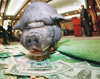 Harry Reid Asks Obama: Can We Please Keep Our Earmarks? 