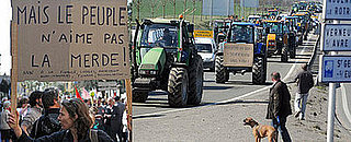 French Think Government's Economic Policy Is Merde 