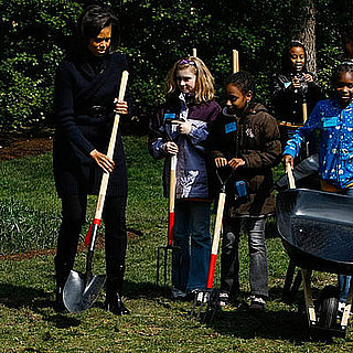 How-To: Start Your Own Victory Garden