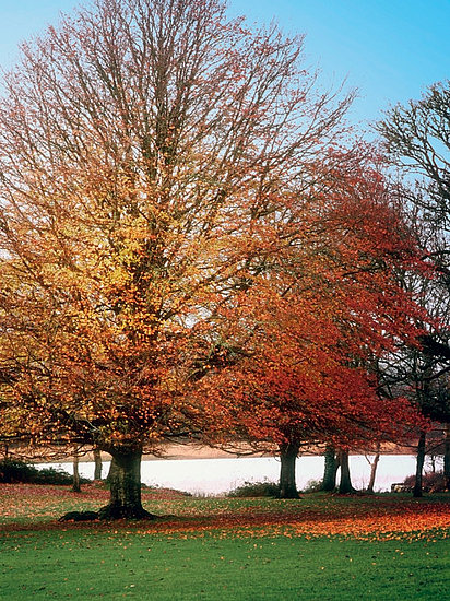 Inspired by the Seasons