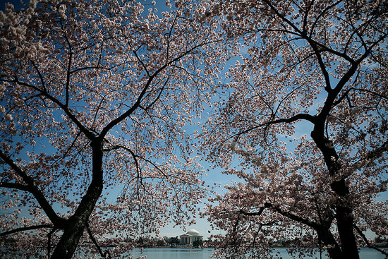 Nature Abounds With Names