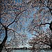 Nature Abounds With Names