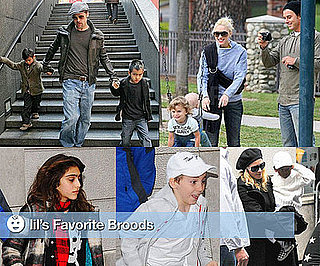 Lil's Favorite Families
