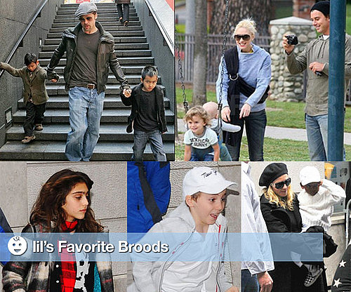 Lil's Favorite Families