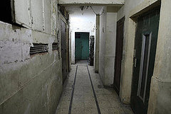 Fate of Germany's Most Wanted Nazi Found in Egypt Fate of Germany's Most Wanted Nazi Found in Egypt