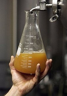 Jimmy Carter's Unintentional Legacy: Beer Making