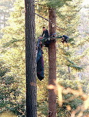 Environmental Extremist Groups: 8 Acts of Ecoterrorism Environmental Extremist Groups: 8 Acts of Ecoterrorism