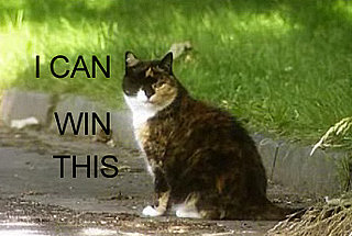 Preview For The Great Race, Featuring Midge the One-Eyed Cat