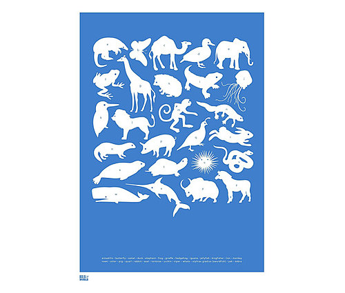Animal A-Z Animal A-Z