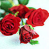 6 Ideas For a Recession-Proof Valentine's Day!