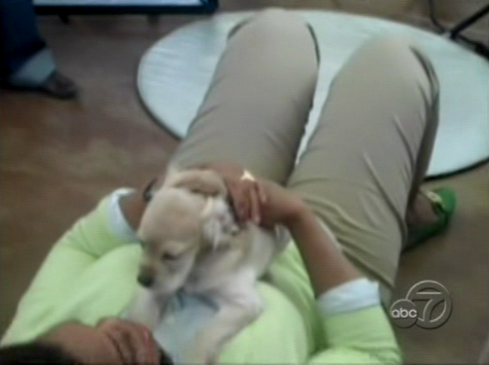 Oprah's New Pup, Sadie Oprah's New Pup, Sadie