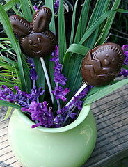 Delilicious: Easy to Make Chocolate Easter Lollipops