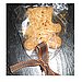 Shaped Cookies on Sticks 
