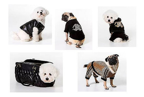 Freaky or Fabulous: Roberto Cavalli Canine Fashion