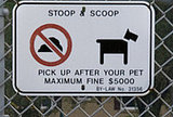 For dog owners (obviously)--how many times does your dog go out?