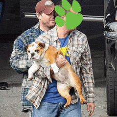 Guess the Celeb Pet!