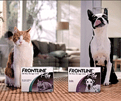 One Week Left to Win a Prize Pack For Your Pet!