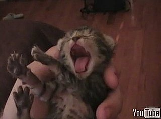 Happy Caturday!
