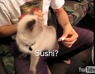 Happy Caturday!