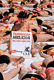 Is Nudity a Persuasive Method of Activism? 
