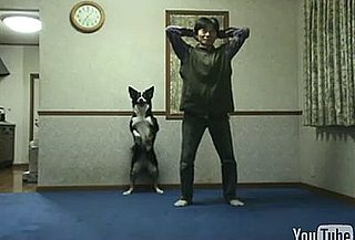 Dog Does Squats With His Human Companion